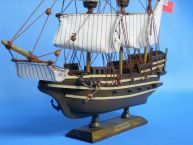 Mayflower 14 picture