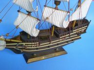 Mayflower 14 picture
