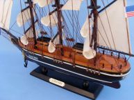 Star of India 20 picture