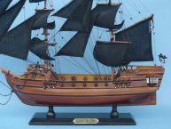 Black Falcon 20 - Captain Kidd picture