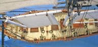 Baltimore Clipper Harvey 32 picture
