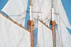 Bluenose 24 picture