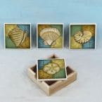 Ceramic Seashell Coasters w- Holder - Set of 4