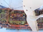 Frederich Willhelm Limited 29 picture