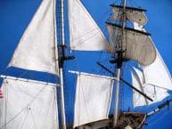Baltimore Clipper Harvey 32 picture