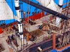 HMS Bounty 32 picture