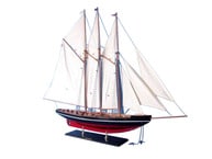 Atlantic 50