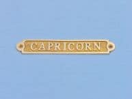 Solid Brass Capricorn Sign 6