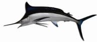 Black Marlin Fish Replica 95