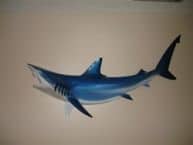 Blue Black-Tip Shark Replica 50