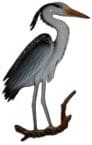 Blue Heron Bird Replica 28