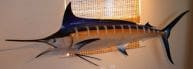 Blue Marlin Fish Replica 94