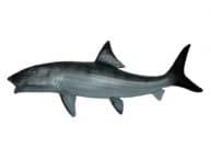 Bonefish Fish Replica 28