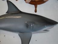 Bull Shark Replica 67