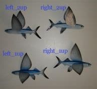 Flying Fish Replica 15 - Right 2 up
