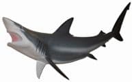 Grey Black-Tip Shark Replica 50