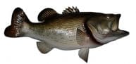Largemouth Bass Fish Replica 28