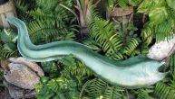 Green Moray Eel Fish Replica 55