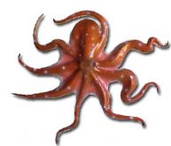 Orange-Brown Octopus Fish Replica 32