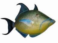 Queen Trigger Fish Replica 30