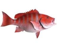 Red Snapper Fish Replica 32