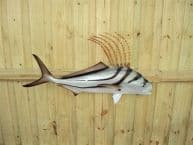 Roosterfish Replica 38