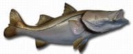 Snook Fish Replica 44