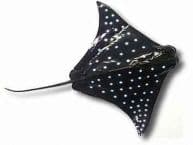 Spotted Eagle Ray Fish Replica 20