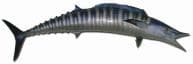 Wahoo Fish Replica 58
