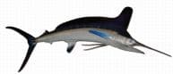 White Marlin Fish Replica 90