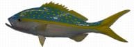 Yellowtail Snapper Fish Replica 27