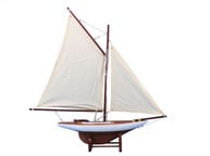 Americas Cup Contender 18