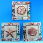 Ceramic Seashell Wall Plaque 12 - Set of 3